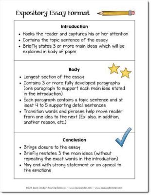 How Long Is an Essay in 5th Grade: A Detailed Analysis