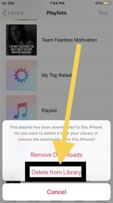 How to Recover a Deleted Playlist on Apple Music: A Symphony of Solutions and Unrelated Musings